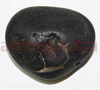 Shaligram 10735 55gm